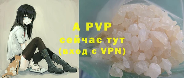 PSILOCYBIN Баксан