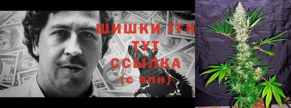 PSILOCYBIN Баксан