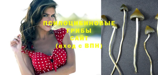 ГАЛЛЮЦИНОГЕННЫЕ ГРИБЫ Осинники